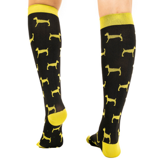 Wild Sole L/XL - 5 Pack